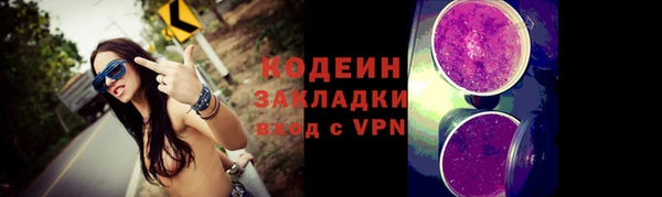 шишки Михайловск