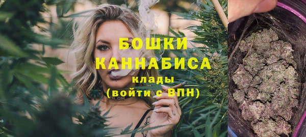 шишки Михайловск