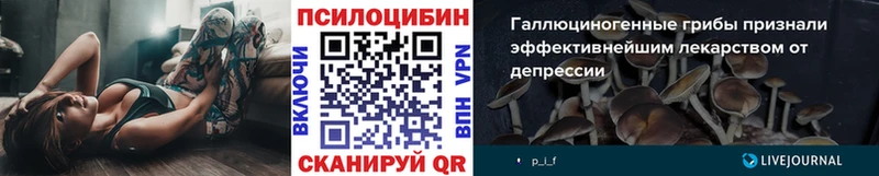 где продают наркотики Сясьстрой Псилоцибиновые грибы ЛСД